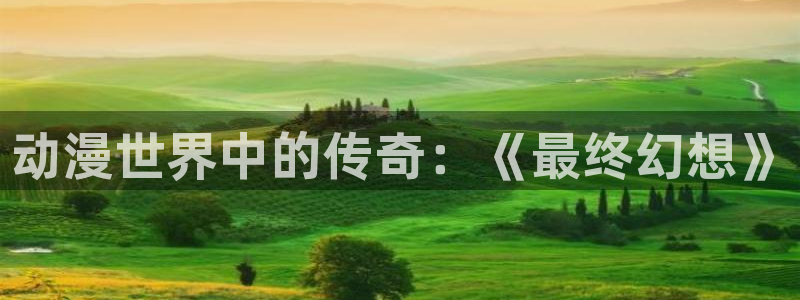 58动漫网站：动漫世界中的传奇：《最终幻想》