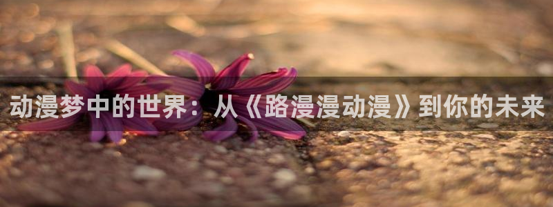 动漫58动漫网：动漫梦中的世界：从《路漫漫动漫》到你的未来