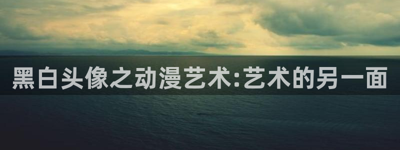 58动漫大全：黑白头像之动漫艺术:艺术的另一面