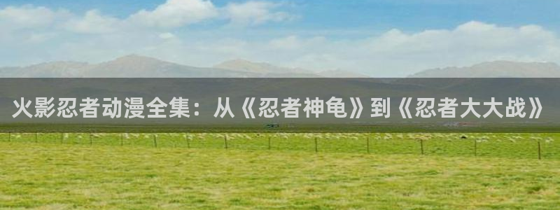 58动漫网入口：火影忍者动漫全集：从《忍者神龟》到《忍者大大战》