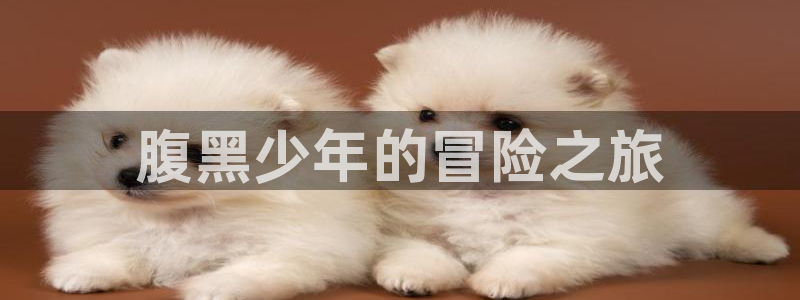 58动漫免费看：腹黑少年的冒险之旅