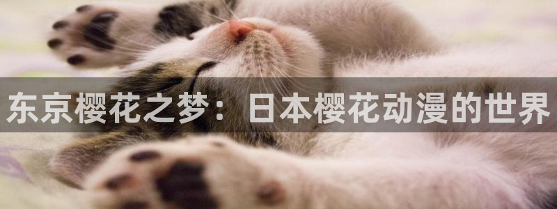 58动漫网免费动漫：东京樱花之梦：日本樱花动漫的世界