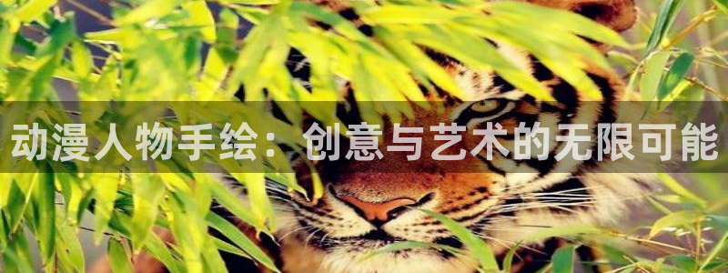 58动漫网 免费：动漫人物手绘：创意与艺术的无限可能