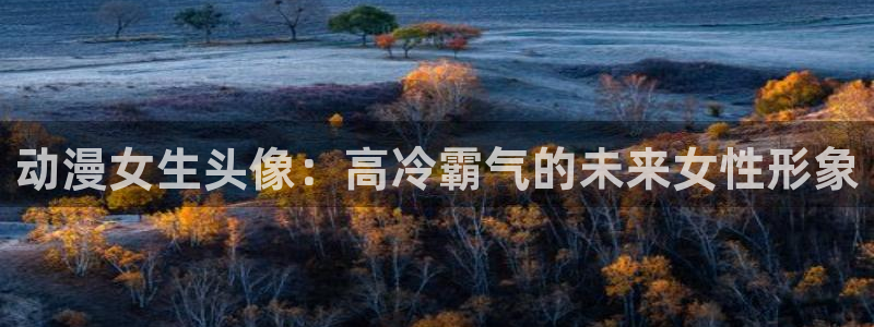 动漫58动漫网：动漫女生头像：高冷霸气的未来女性形象