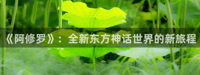火影忍者国语版58动漫：《阿修罗》：全新东方神话世界的新旅程